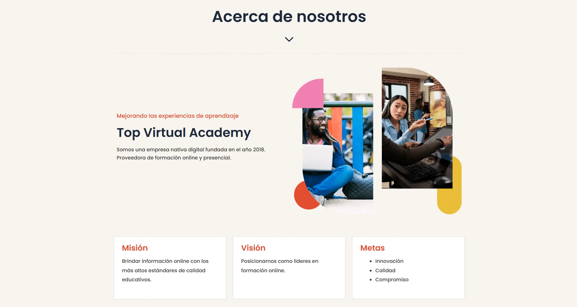 Top Virtual Academy image